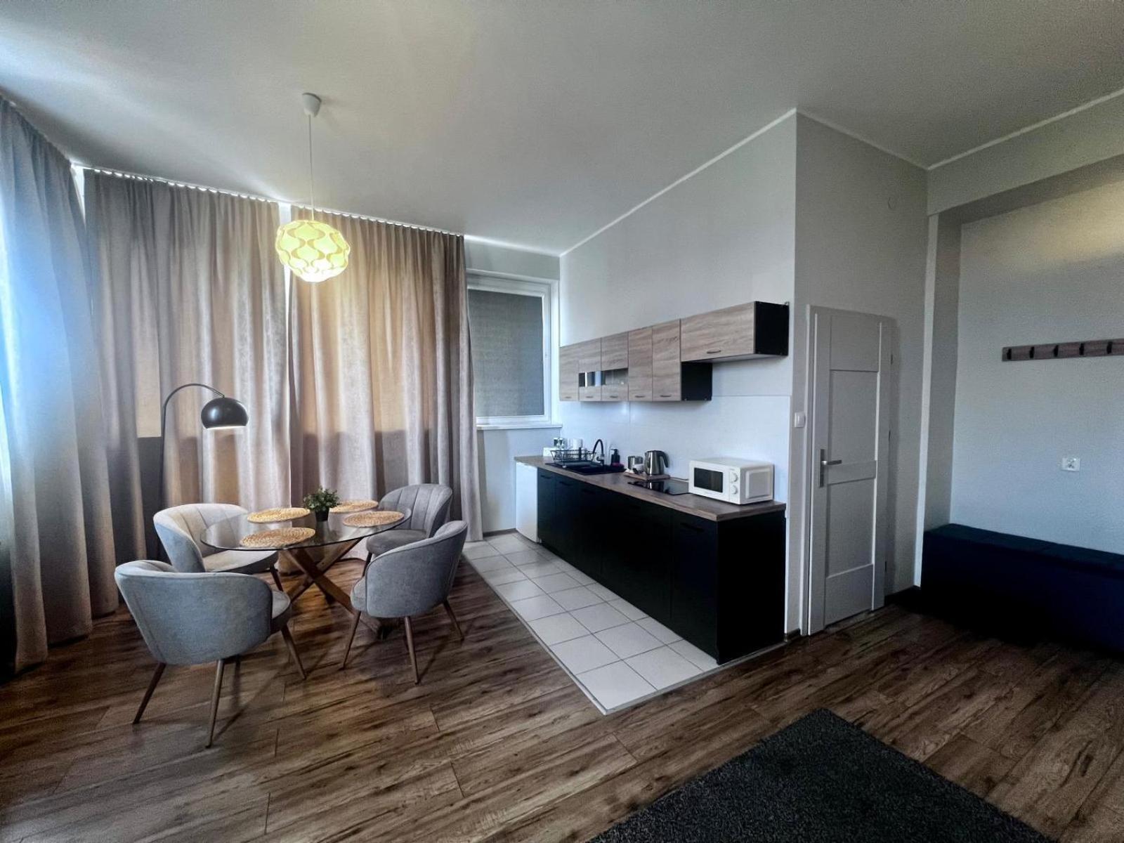 Business Center Apartment Skierniewice Exterior photo